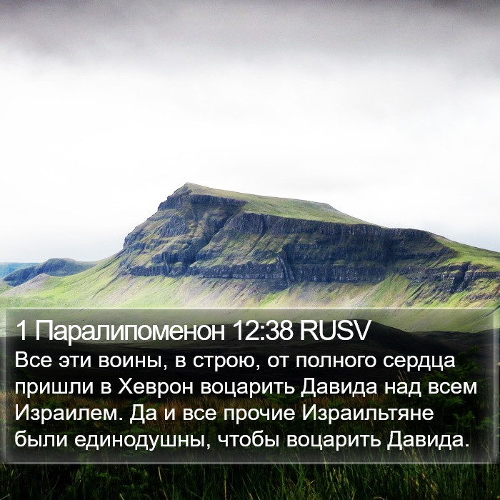 1 Паралипоменон 12:38 RUSV Bible Study