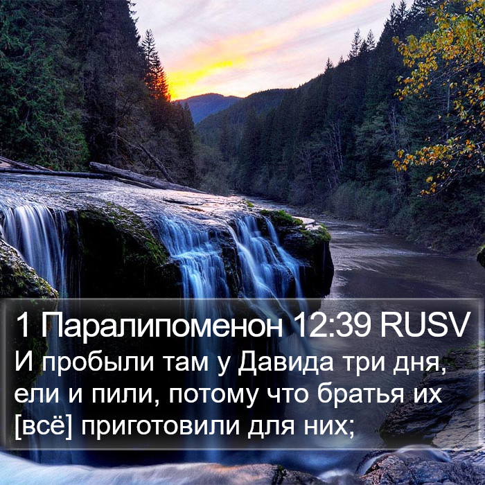 1 Паралипоменон 12:39 RUSV Bible Study