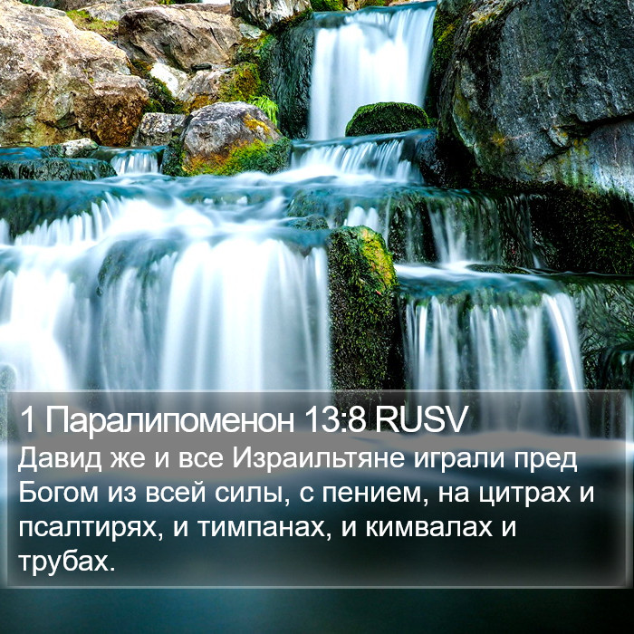 1 Паралипоменон 13:8 RUSV Bible Study