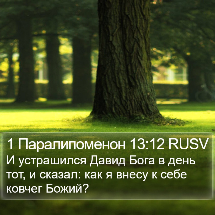 1 Паралипоменон 13:12 RUSV Bible Study