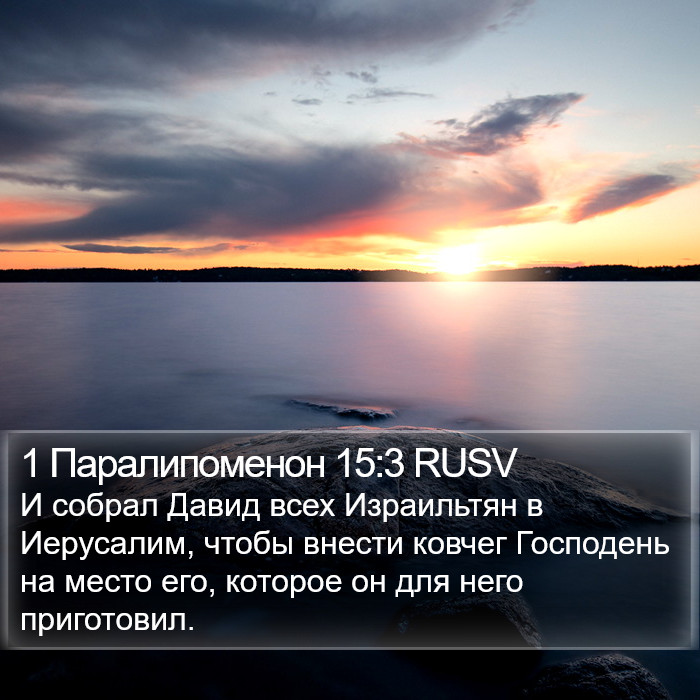 1 Паралипоменон 15:3 RUSV Bible Study