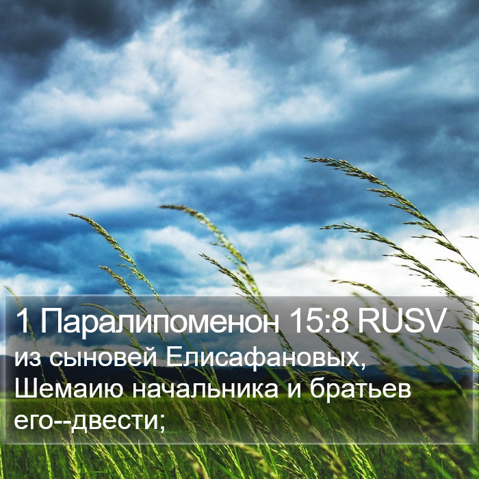 1 Паралипоменон 15:8 RUSV Bible Study