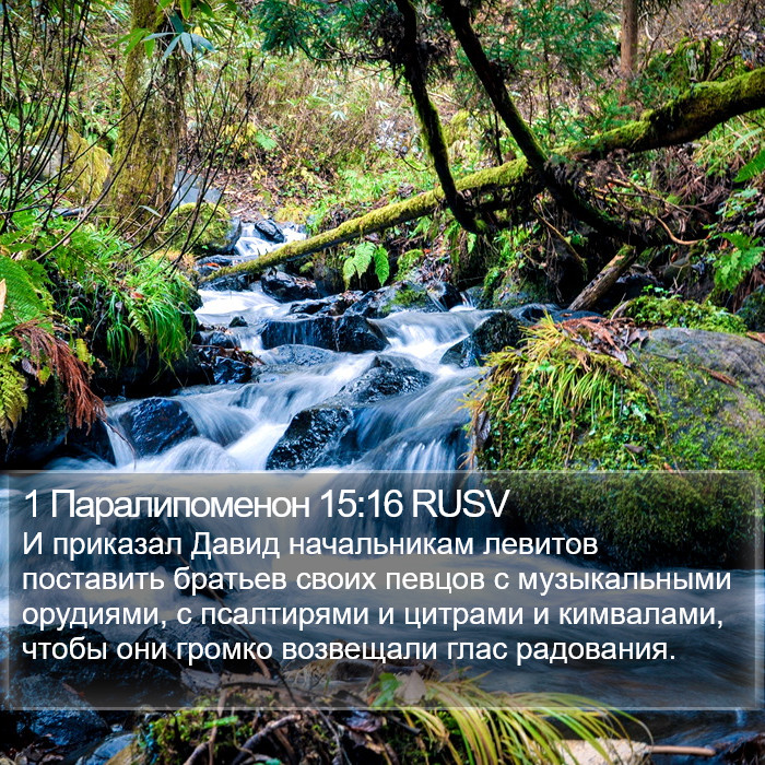 1 Паралипоменон 15:16 RUSV Bible Study