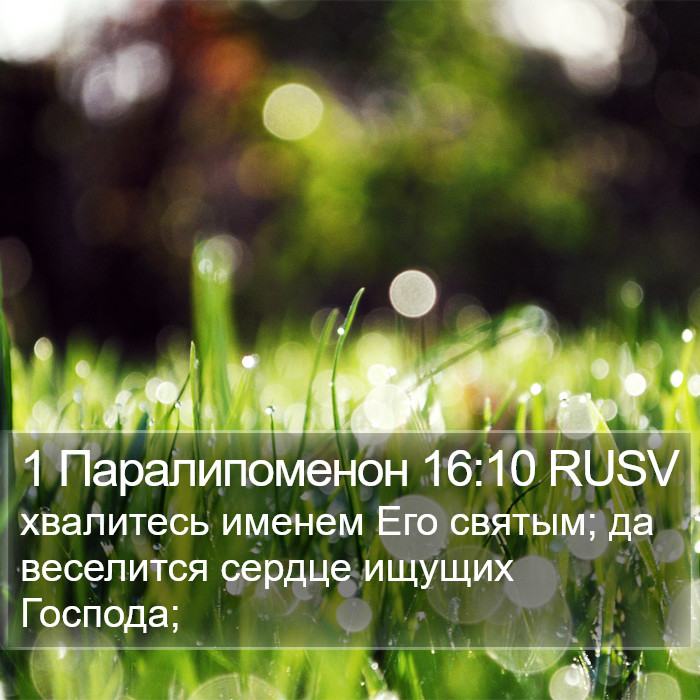 1 Паралипоменон 16:10 RUSV Bible Study