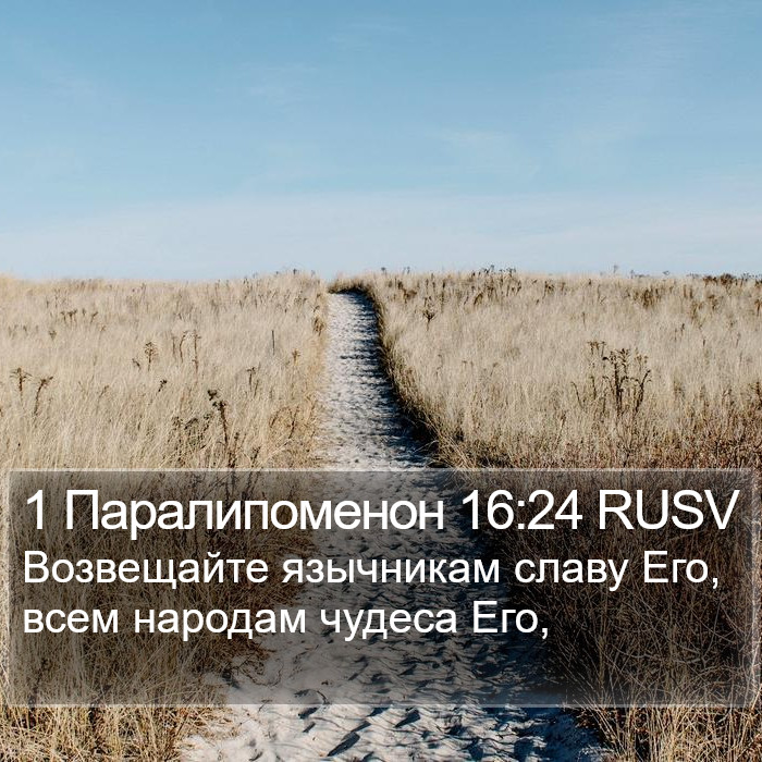 1 Паралипоменон 16:24 RUSV Bible Study