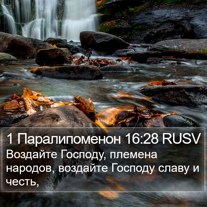 1 Паралипоменон 16:28 RUSV Bible Study