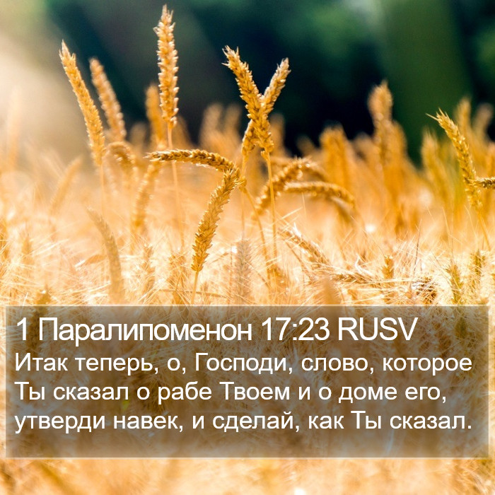 1 Паралипоменон 17:23 RUSV Bible Study