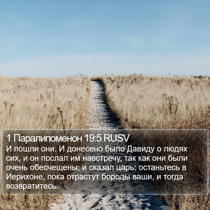 1 Паралипоменон 19:5 RUSV Bible Study