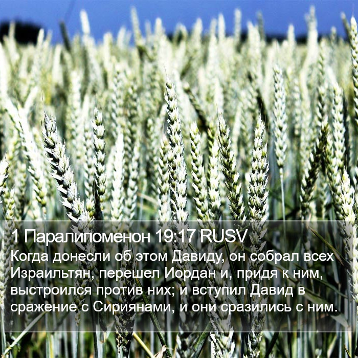 1 Паралипоменон 19:17 RUSV Bible Study