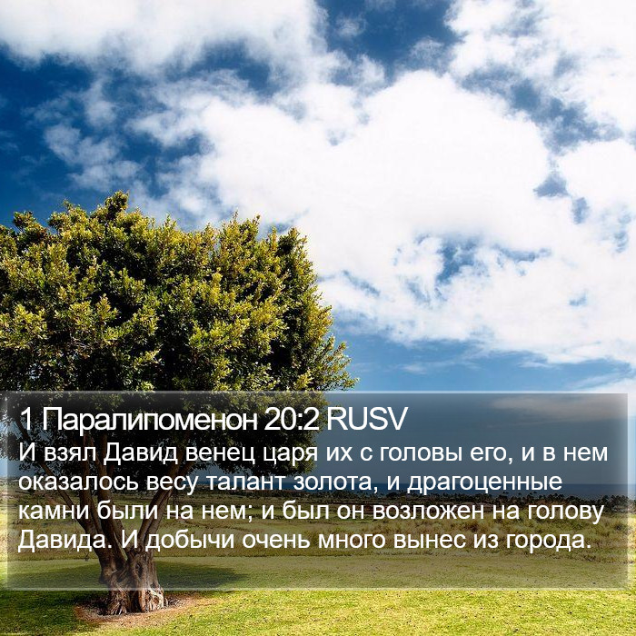 1 Паралипоменон 20:2 RUSV Bible Study