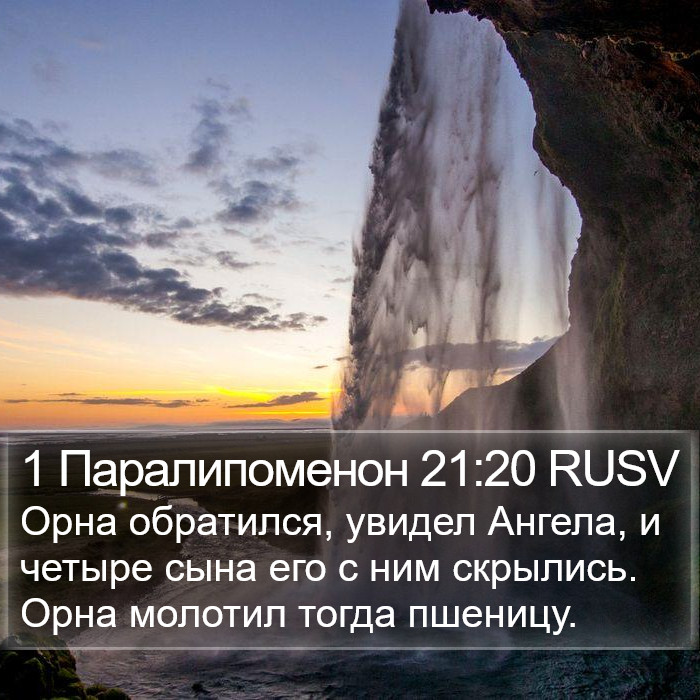 1 Паралипоменон 21:20 RUSV Bible Study