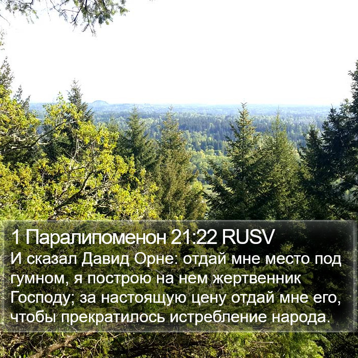 1 Паралипоменон 21:22 RUSV Bible Study