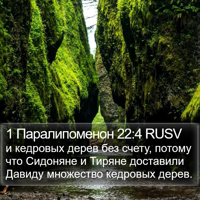 1 Паралипоменон 22:4 RUSV Bible Study