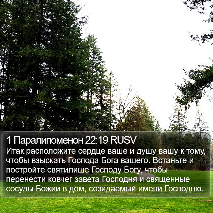 1 Паралипоменон 22:19 RUSV Bible Study