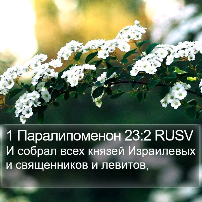 1 Паралипоменон 23:2 RUSV Bible Study