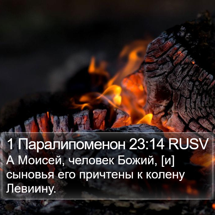 1 Паралипоменон 23:14 RUSV Bible Study