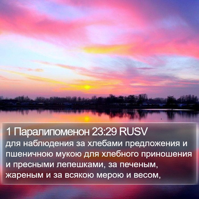 1 Паралипоменон 23:29 RUSV Bible Study