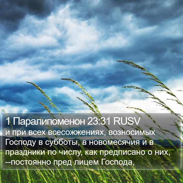 1 Паралипоменон 23:31 RUSV Bible Study