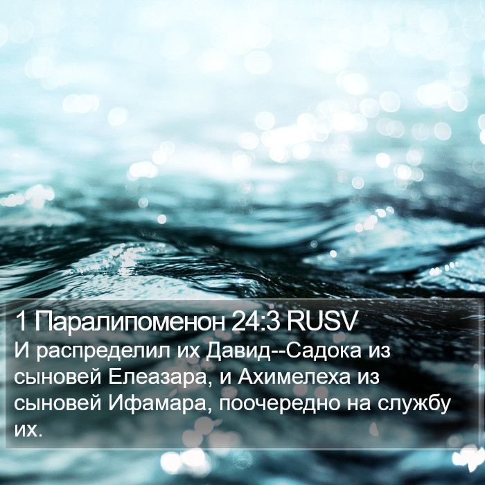1 Паралипоменон 24:3 RUSV Bible Study