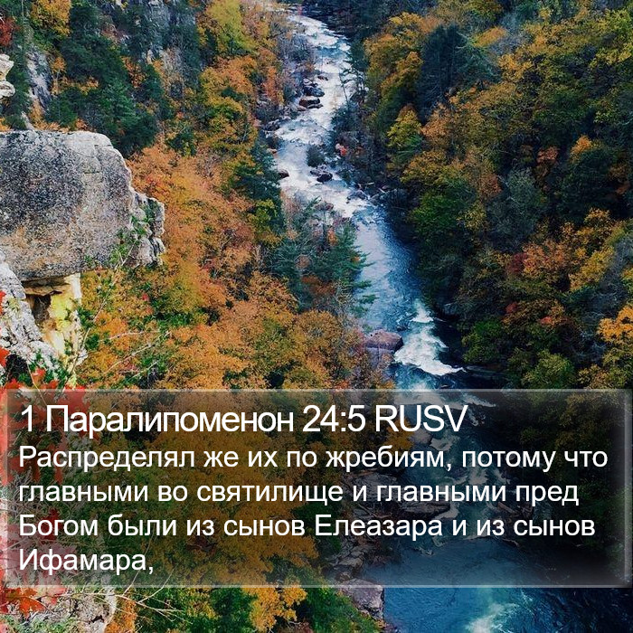 1 Паралипоменон 24:5 RUSV Bible Study