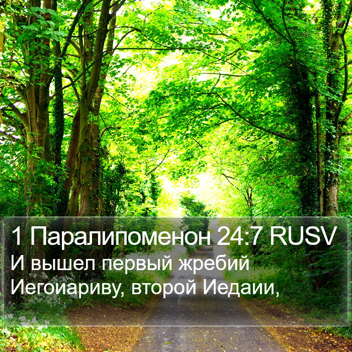 1 Паралипоменон 24:7 RUSV Bible Study
