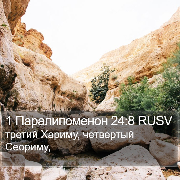 1 Паралипоменон 24:8 RUSV Bible Study