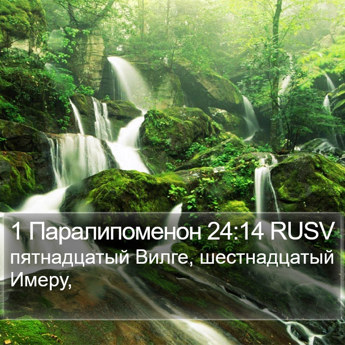 1 Паралипоменон 24:14 RUSV Bible Study