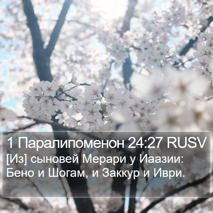 1 Паралипоменон 24:27 RUSV Bible Study