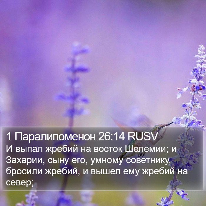 1 Паралипоменон 26:14 RUSV Bible Study