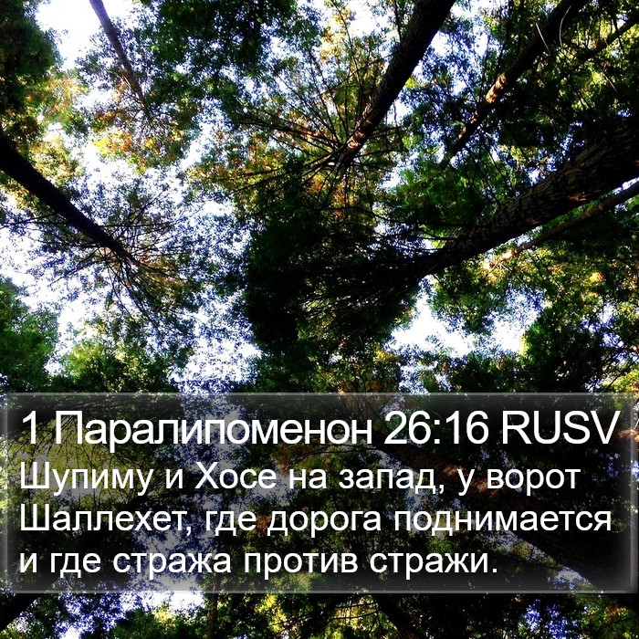 1 Паралипоменон 26:16 RUSV Bible Study