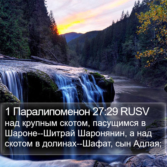1 Паралипоменон 27:29 RUSV Bible Study