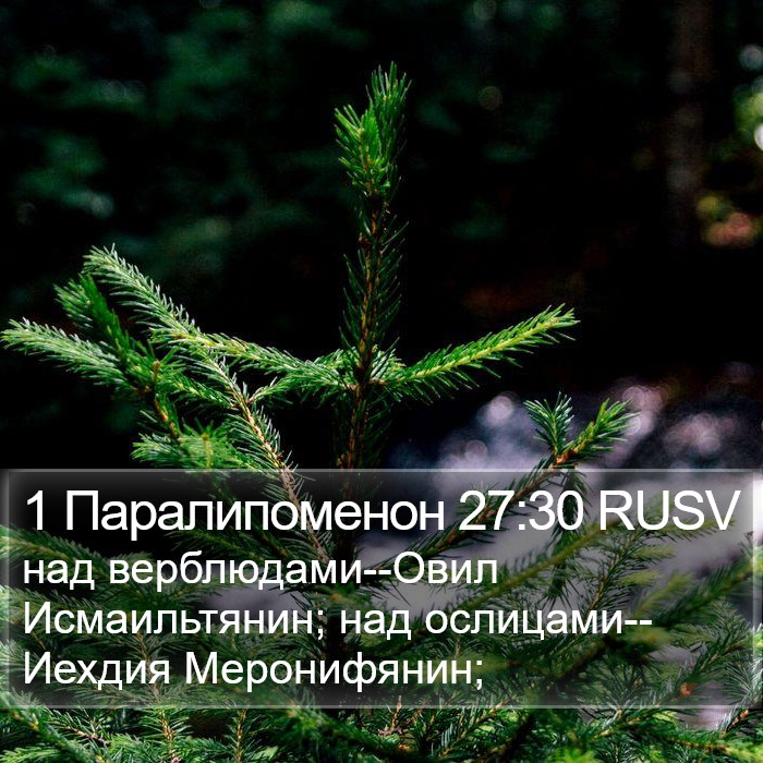 1 Паралипоменон 27:30 RUSV Bible Study