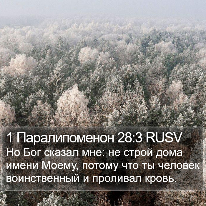 1 Паралипоменон 28:3 RUSV Bible Study