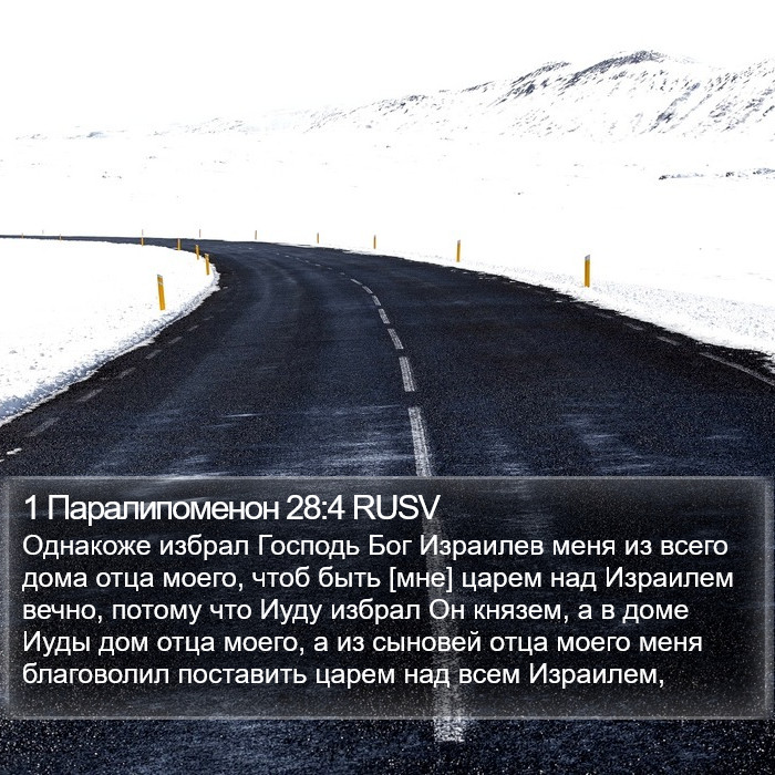 1 Паралипоменон 28:4 RUSV Bible Study