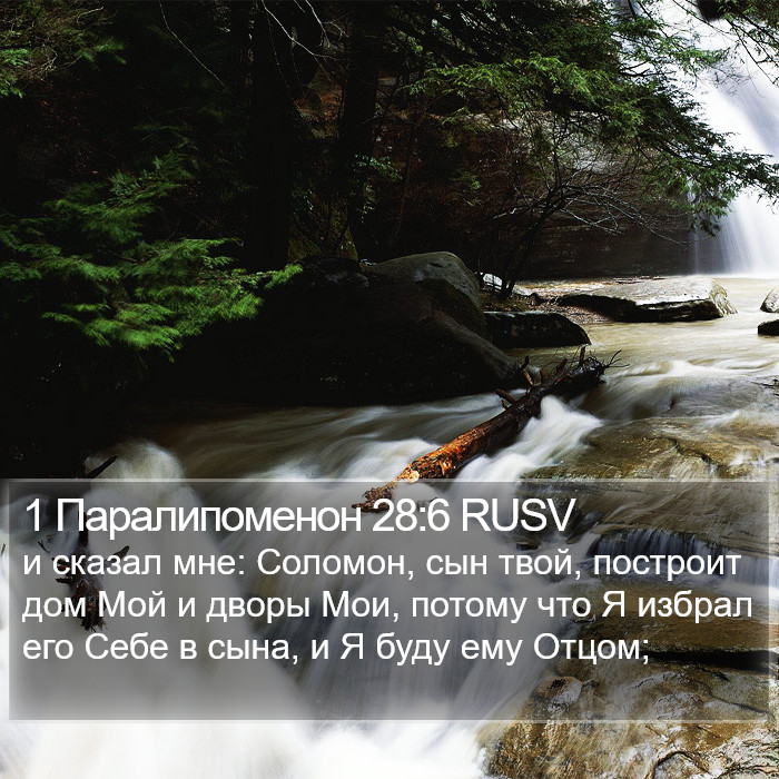 1 Паралипоменон 28:6 RUSV Bible Study