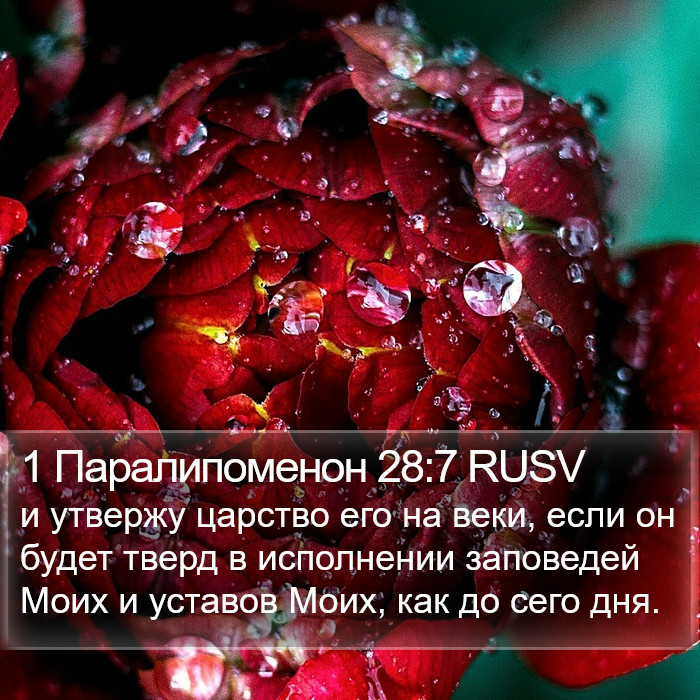 1 Паралипоменон 28:7 RUSV Bible Study