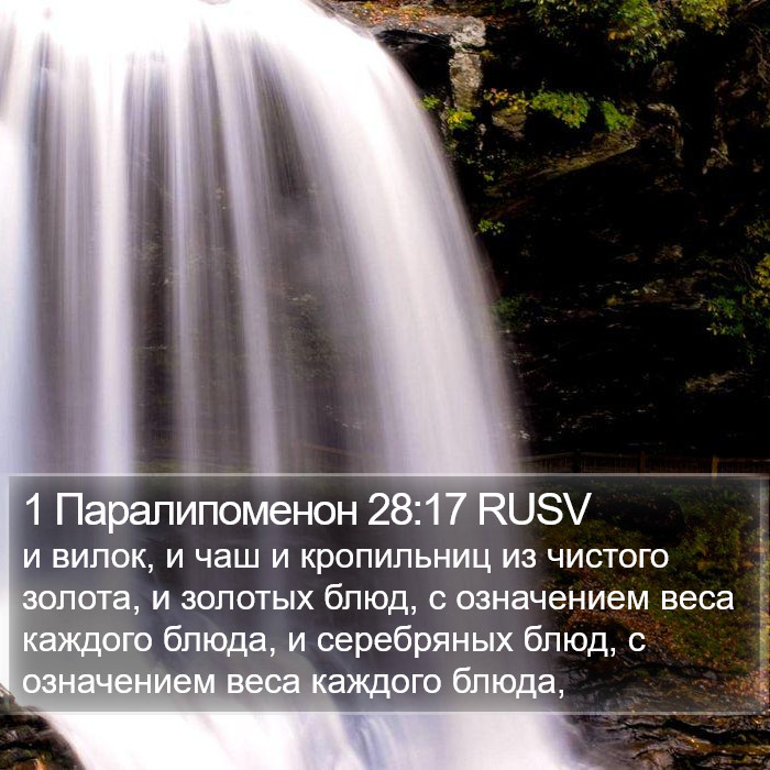1 Паралипоменон 28:17 RUSV Bible Study