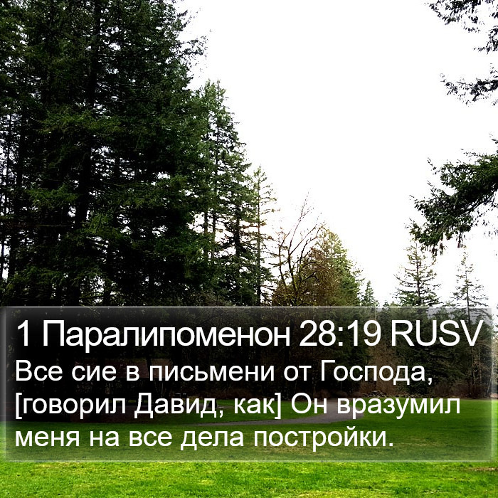 1 Паралипоменон 28:19 RUSV Bible Study