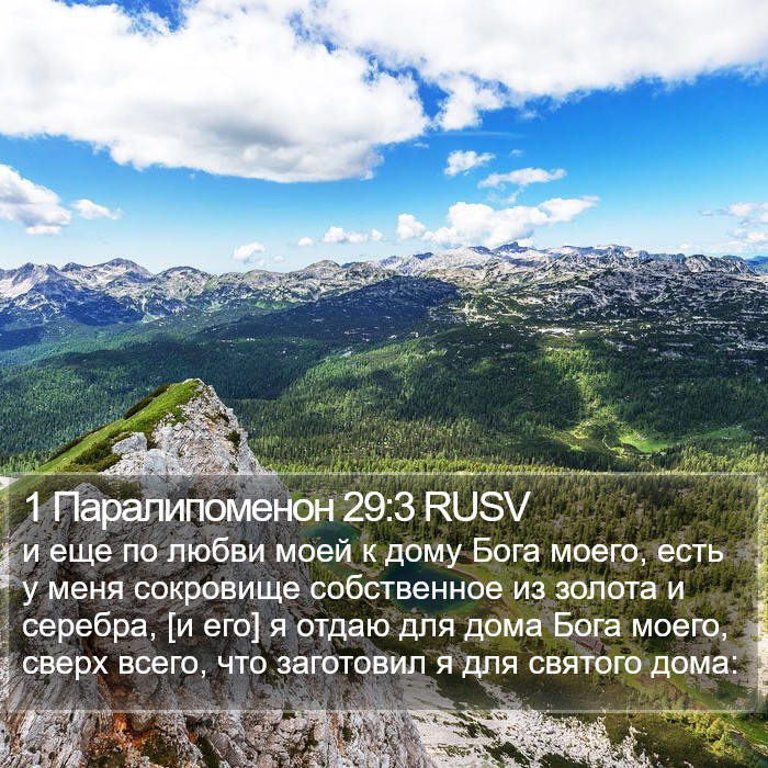 1 Паралипоменон 29:3 RUSV Bible Study