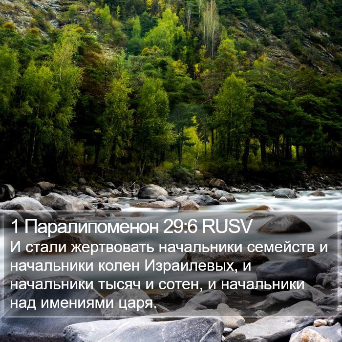 1 Паралипоменон 29:6 RUSV Bible Study