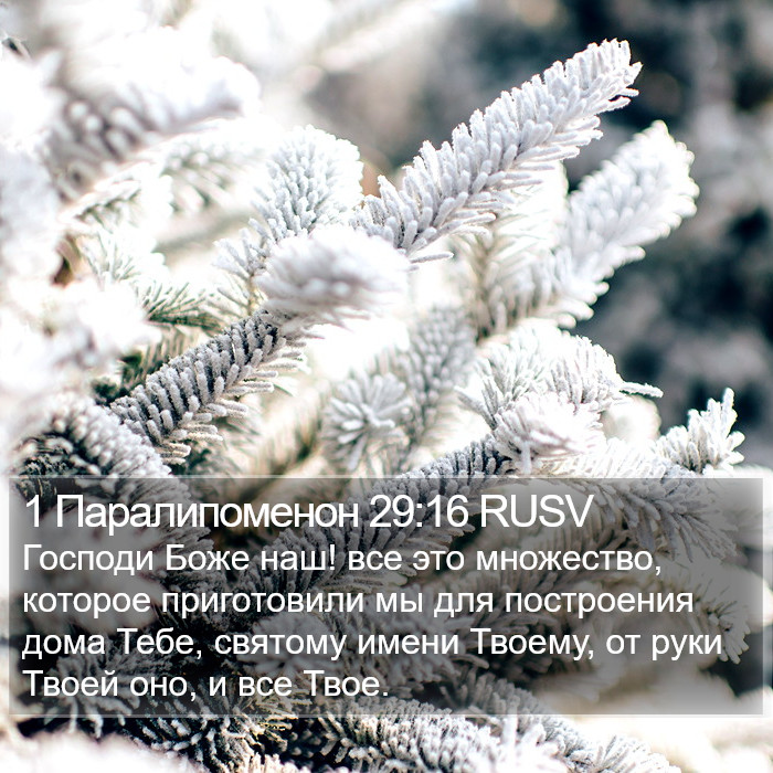 1 Паралипоменон 29:16 RUSV Bible Study