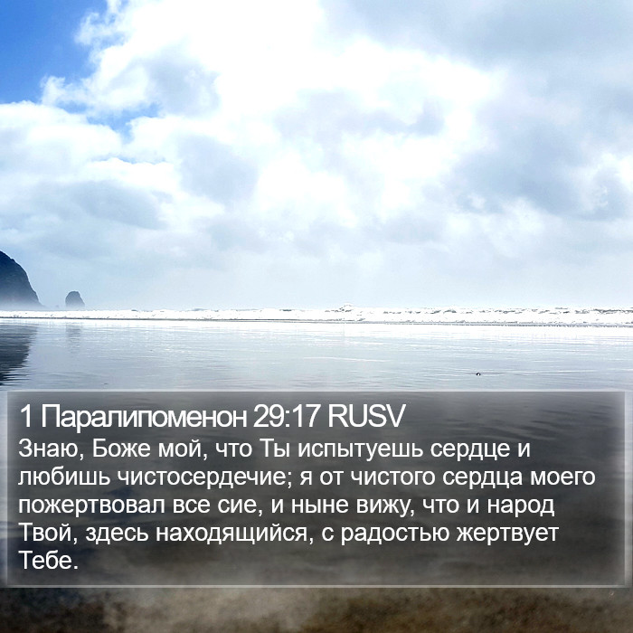 1 Паралипоменон 29:17 RUSV Bible Study