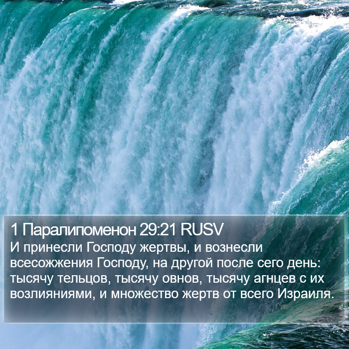 1 Паралипоменон 29:21 RUSV Bible Study