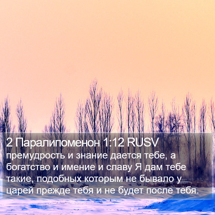 2 Паралипоменон 1:12 RUSV Bible Study