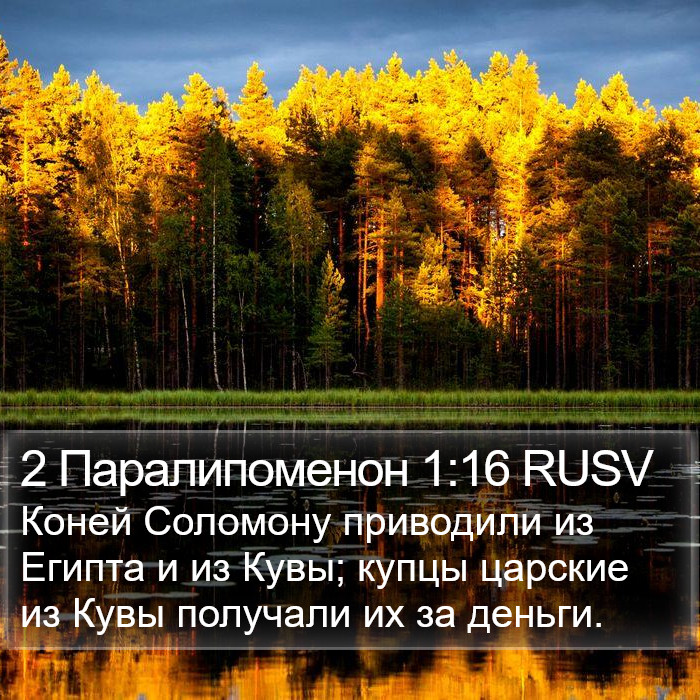 2 Паралипоменон 1:16 RUSV Bible Study