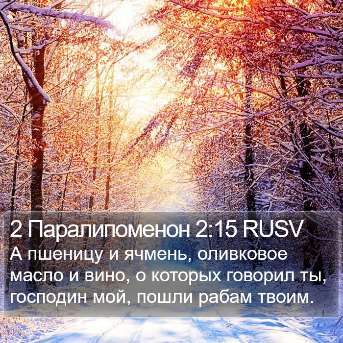 2 Паралипоменон 2:15 RUSV Bible Study