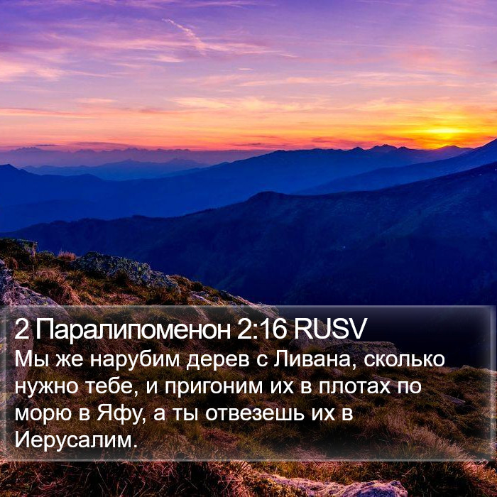 2 Паралипоменон 2:16 RUSV Bible Study