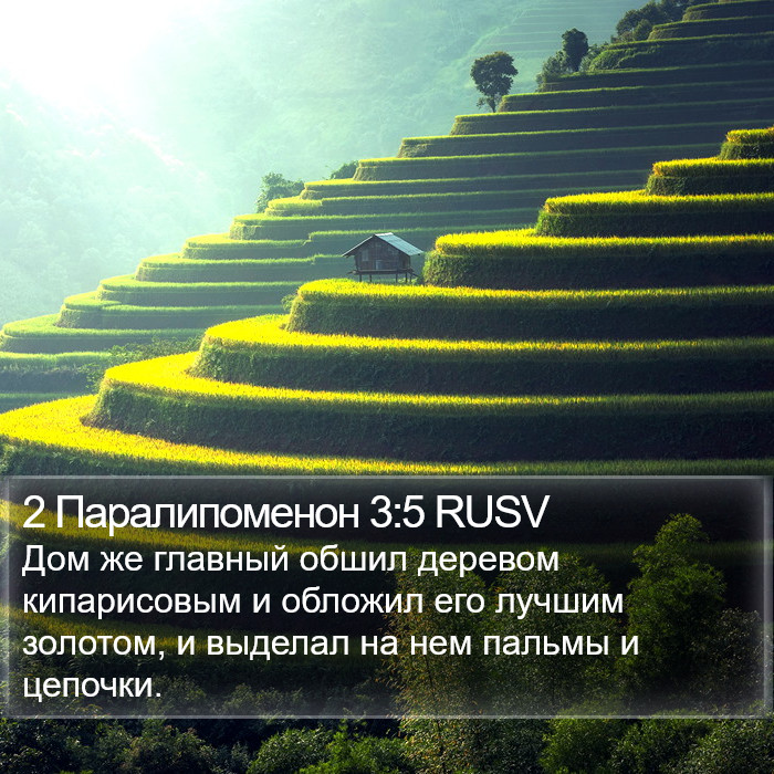 2 Паралипоменон 3:5 RUSV Bible Study