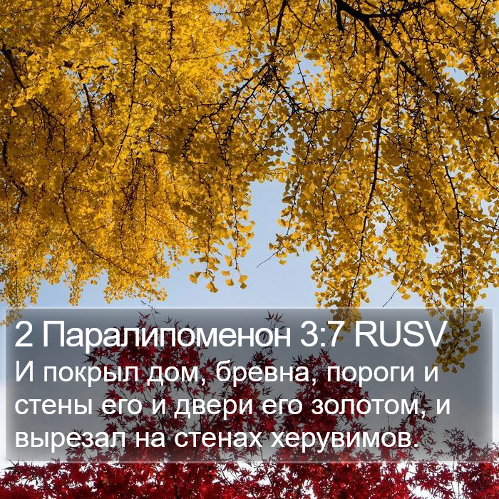 2 Паралипоменон 3:7 RUSV Bible Study