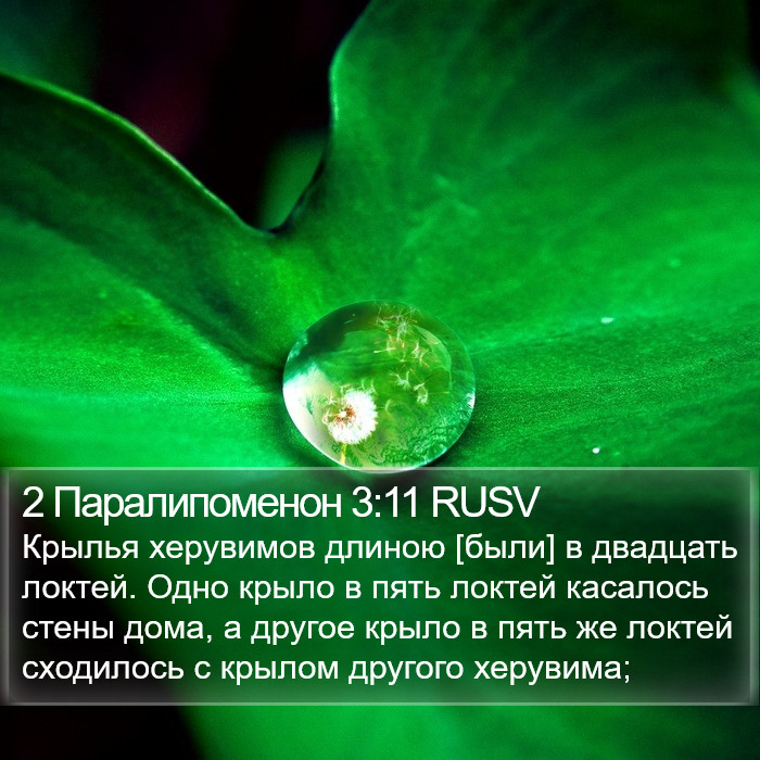 2 Паралипоменон 3:11 RUSV Bible Study